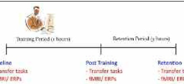 Can Older Adults Enhance Their Cognitive Skills?