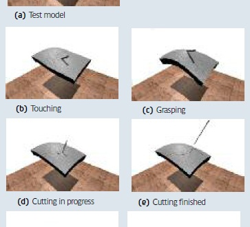 Surgery Simulation: Training Tool of the Future